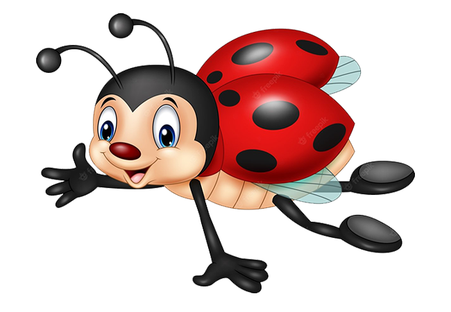 Они съедят вашу тлю: полезные насекомые на участке