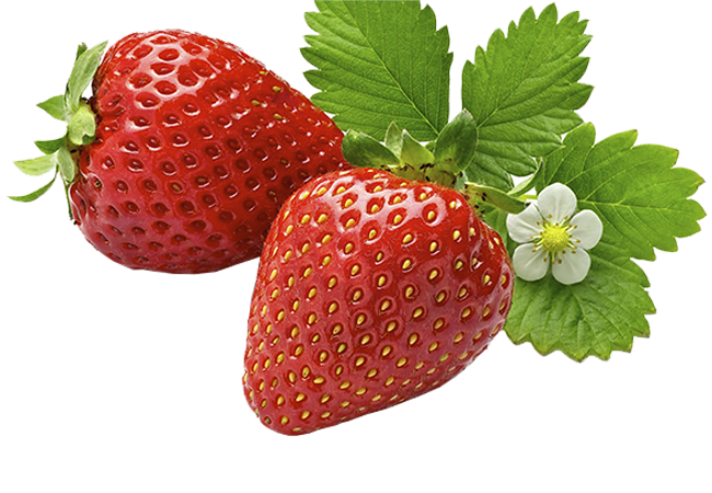 Секреты ухода за садовой земляникой