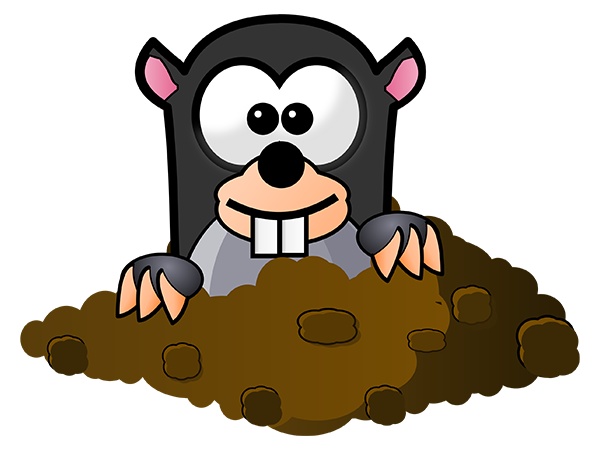 Крот на участке: польза или вред, как избавиться?