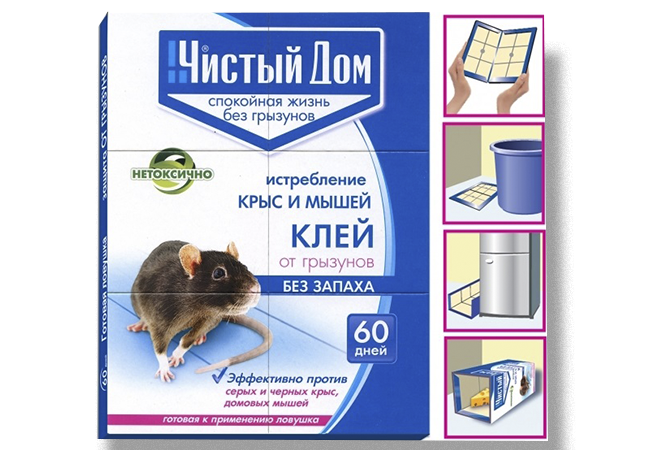 Борьба с мышами на дачном участке