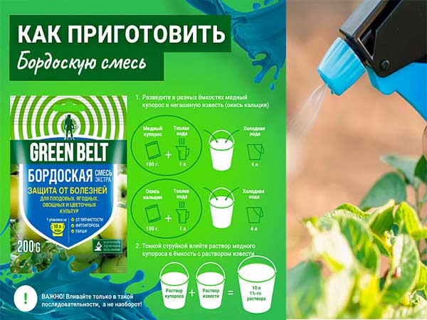 Памятка по приготовлению бордоской смеси