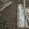 Сохраняем молодой виноград под зиму