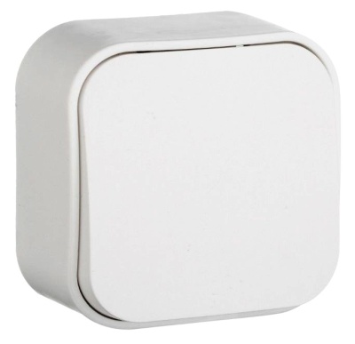 Ионыч накл.